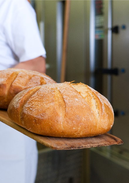 difference-bread